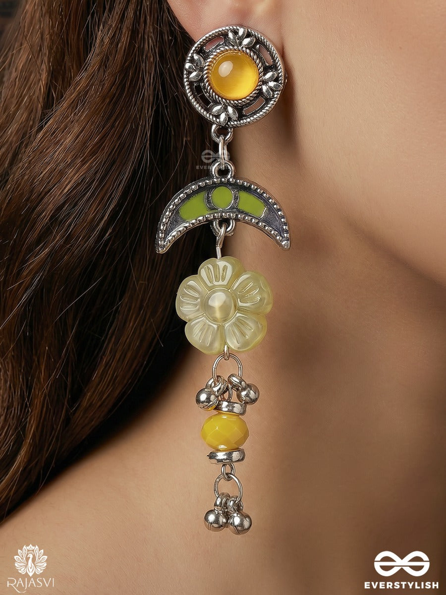 Aftaabi Jhalar - Oxidised Charm Earrings